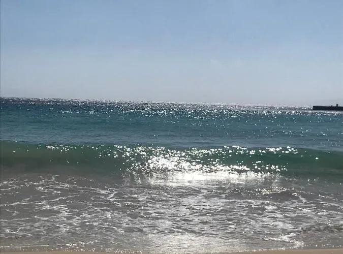 Vegera 'sofrano', Stavros