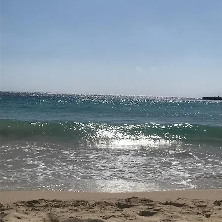 Vegera 'sofrano', Stavros